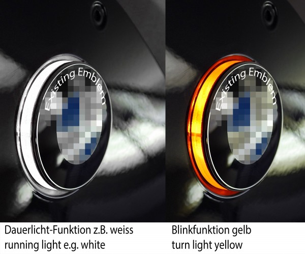 Für BMW R1200RT bis 2013 zweifarbige LED Emblemblinker