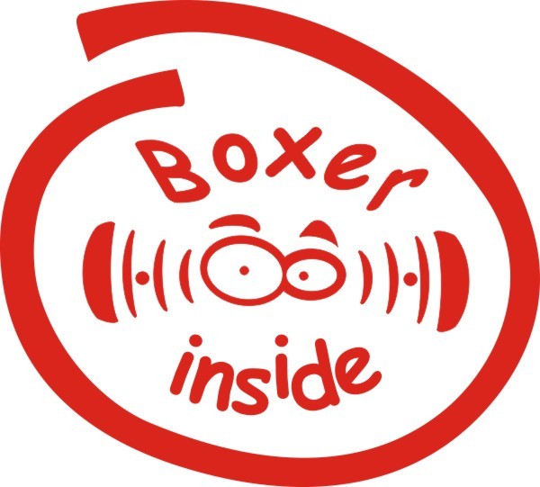 Boxer Inside Aufkleber Nr.2 in Wunschfarbe